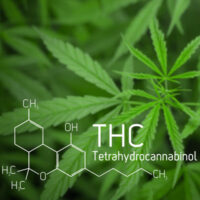 THC THC