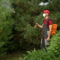 Sprayer Sprayer