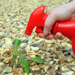 WeedKiller4
